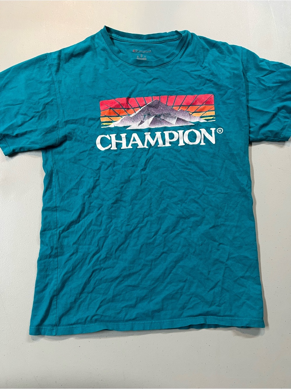 Champion Graphic Mountain Logo T Shirt Men’s Medium Teal Retro Style